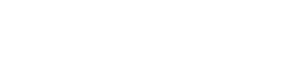 Desjardins_logo_W